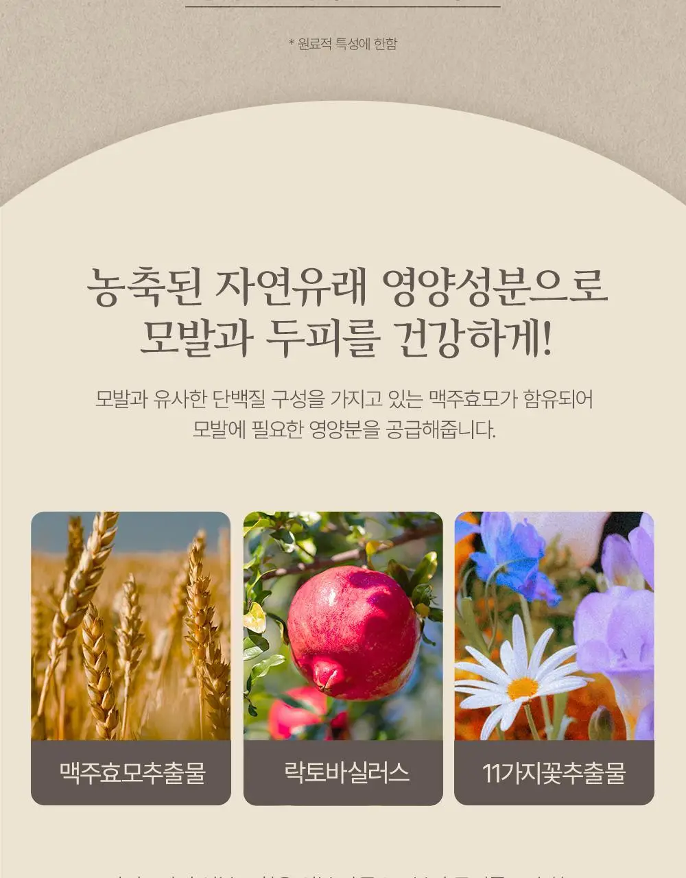 [대용량]바디브 약산성 미용실 퍼퓸 샴푸 [비듬 가려움 개선]/비건 단백질 LPP 트리트먼트 1000ml 9종 택1 상세페이지 95